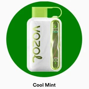 Vozol Star 40000 Cool Mint